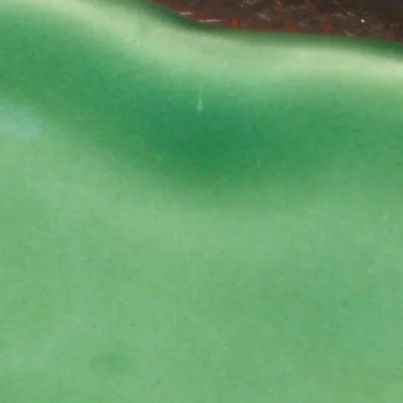 NWT Bordallo Pinheiro Outono Autumn Green 10” Dinner Plate Made in Portugal NEW - Picture 14 of 14